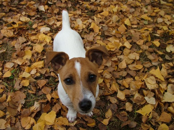 90109249_10219408069730339_840587604486258688_n